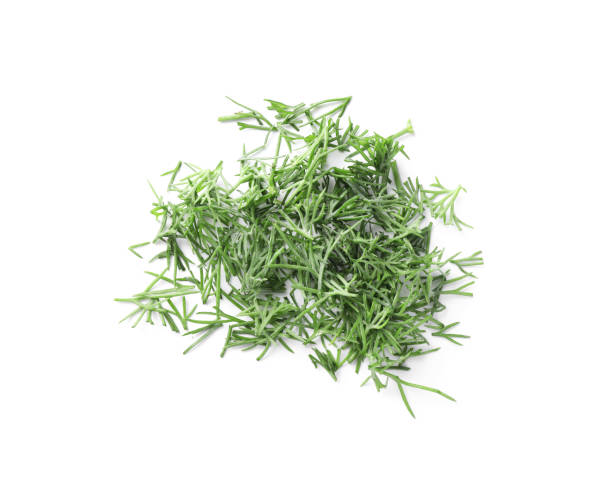 istock Pile of fresh dill isolated on white, top view 1923059302