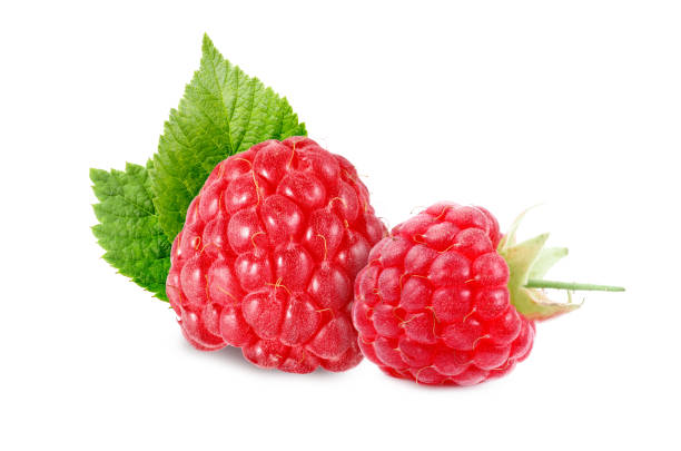 istock Fresh ripe raspberries with green leaves isolated on white 1923073714