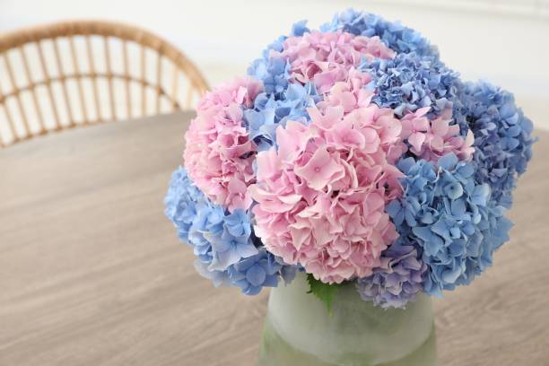 istock Vase with beautiful hydrangea flowers on wooden table indoors, closeup. Space for text 1923241402