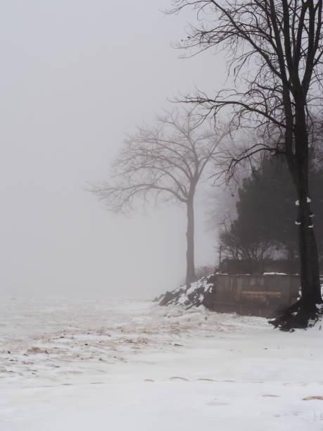 paisaje con nieve, niebla espesa y árboles - thick snow fotografías e imágenes de stock