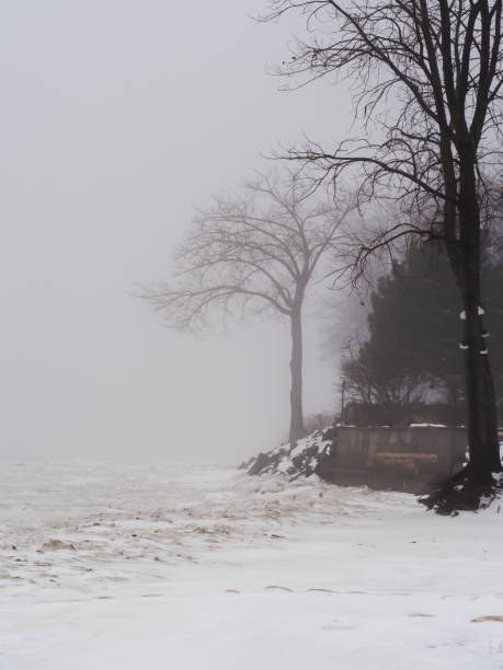 пейзаж со снегом, густым туманом и деревьями - thick snow стоковые фото и изображения