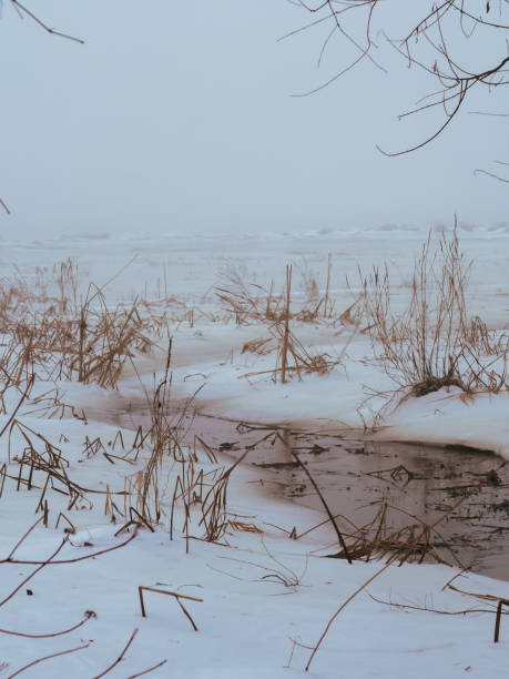 istock Landscape with a watercourse and thick fog 1923266148
