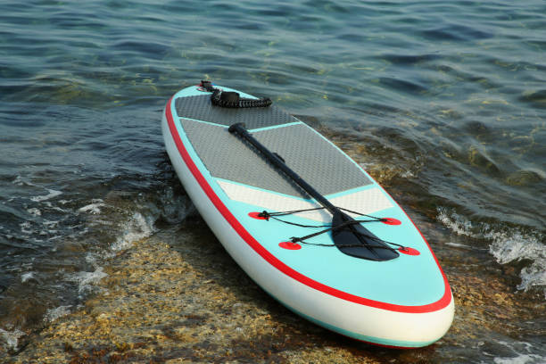 istock One SUP board with paddle near sea shore 1923266685