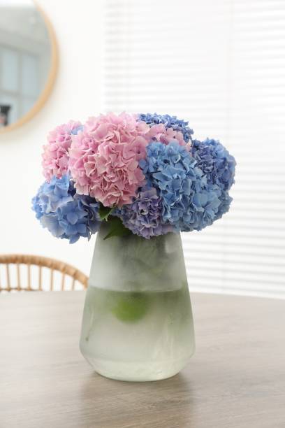 istock Vase with beautiful hydrangea flowers on wooden table indoors 1923298789