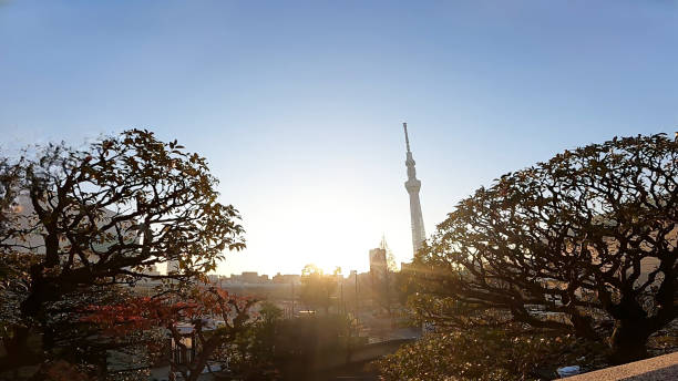 A radio tower (transmitter station) located in Oshiage, Sumida-ku, Tokyo, Japan. The tower is 634 m high, with commercial and office buildings attached to it, making up Tokyo Skytree Town.
