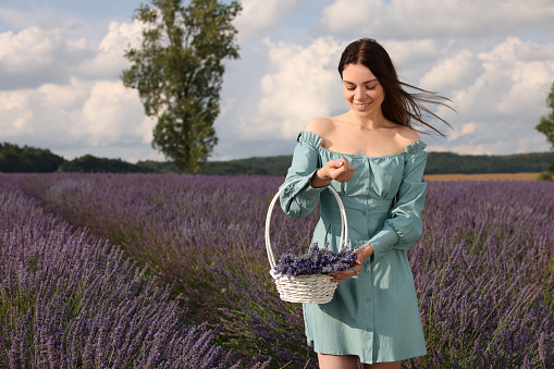 Smiling woman with basket in lavender field. Space for text