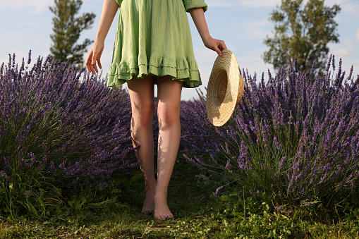 Woman with hat walking barefoot in lavender field, closeup