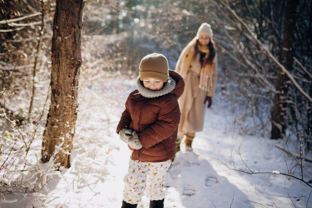 istock Winter day in the forest 1923347501