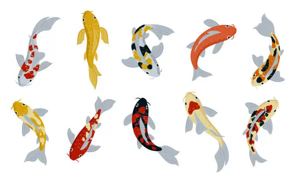Vector illustration of Japanese koi fishes. Cartoon carp fish, oriental fish koi, asian carp flat vector symbols illustration set. Oriental koi carp fish collection
