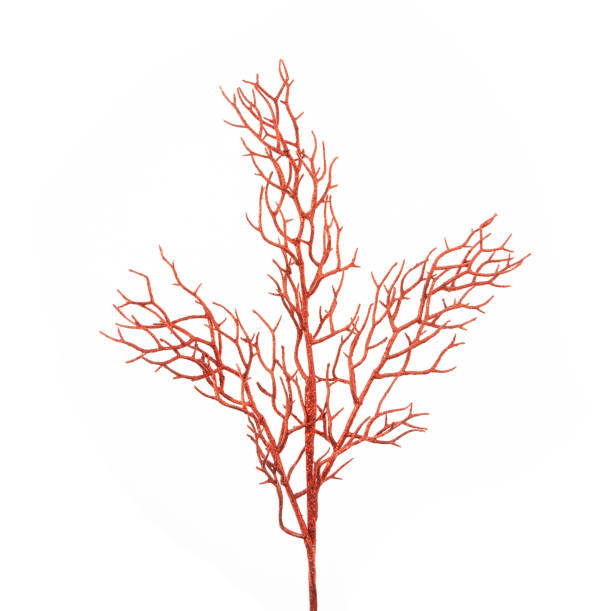istock Christmas decorative red glitter leaves 1923412473