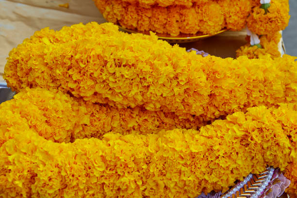 istock Garland of marigold flower 1923494801