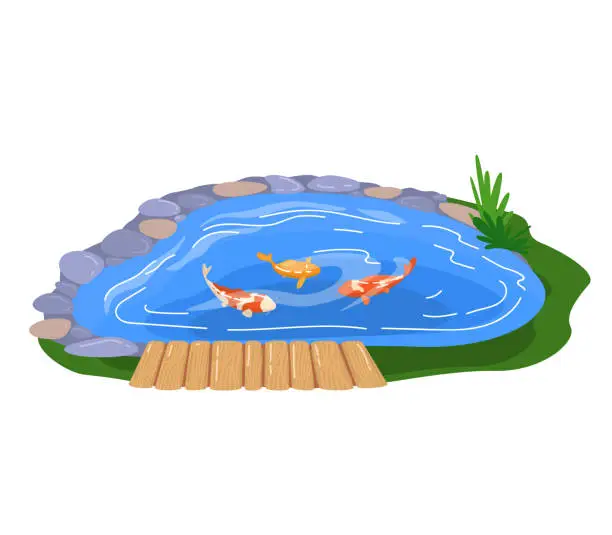 Vector illustration of Koi fish swimming in a garden pond with wooden dock. Serene outdoor fish pond with decorative rocks and plants. Zen garden aquatic theme vector illustration