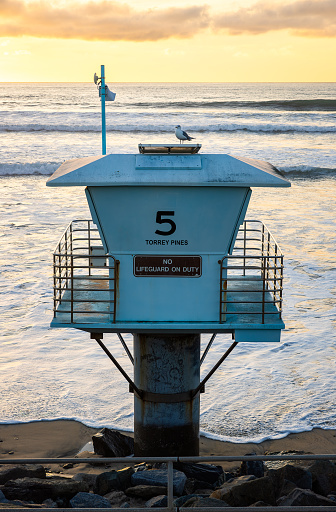 Close up of the lifeguard house at Torrey Pines State Beach, with a cute seagull resting on top of the house