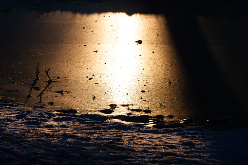 December 7, 2024: The beautiful morning sun shining on the shore of a frozen lake.