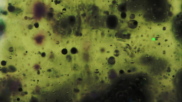 istock Bubble fluid oil texture ink water drop green gel 1923507557