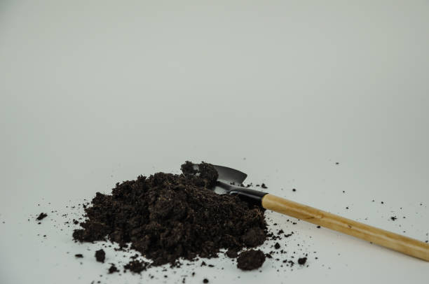 istock Ground with a shovel on a light background, planting concept 1923514468