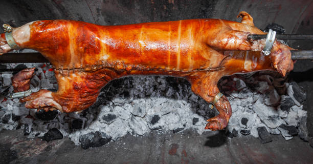 a young pig is roasted on a spit over coals. - spit roasted roasted roast pork domestic pig fotografías e imágenes de stock