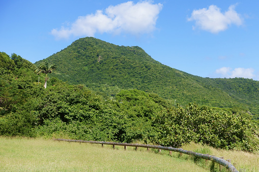 Beautiful green mountain covered with forest and blue sky,  rural scene of Martinique