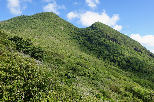 Beautiful green mountain covered with forest and blue sky, Morne Larcher, Martinique