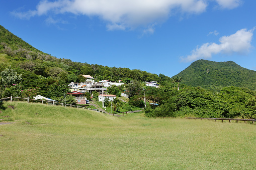 Rural caribbean village and meadow, Martinique