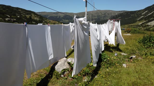 Clean bed sheet hanging on clothesline.