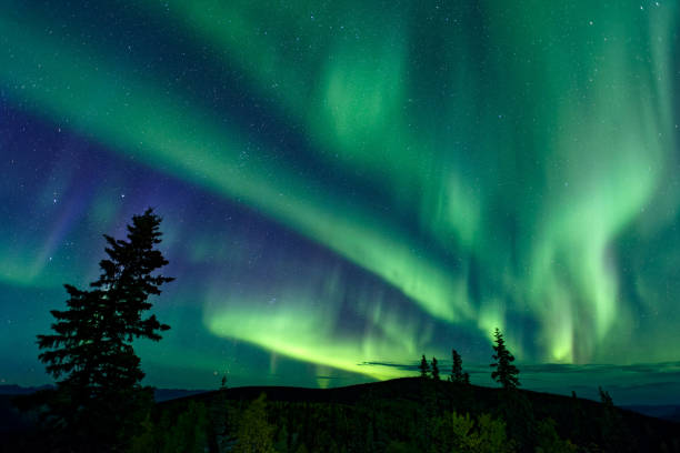 istock Aurora borealis over Dawson City, Yukon, Canada 1923558790
