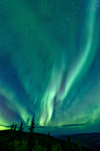 Aurora borealis over Dawson City, Yukon, Canada