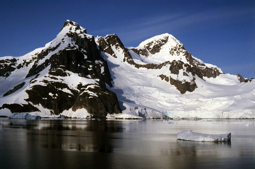 Killer whales are frequently seen in the waters around the Antarctic Peninsula.