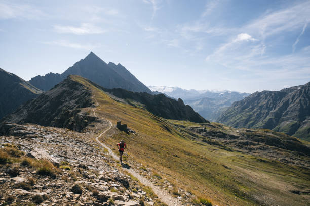 istock Trail runner bounds along mountain trail 1923638798