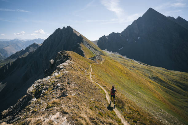 istock Trail runner bounds along mountain trail 1923641417