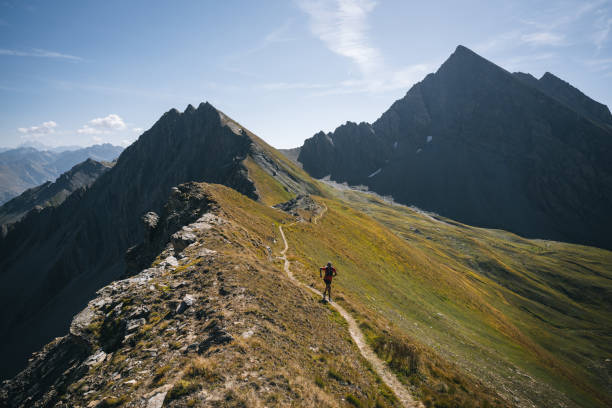 istock Trail runner bounds along mountain trail 1923641440