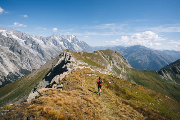 istock Trail runner bounds along mountain trail 1923643144