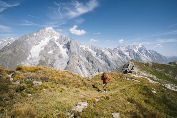 istock Trail runner bounds along mountain trail 1923646278