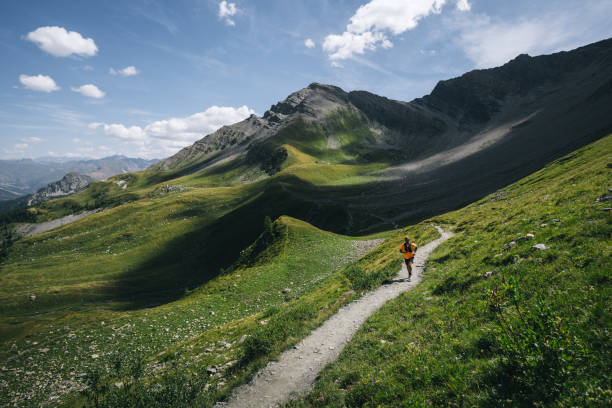 istock Trail runner bounds along mountain trail 1923658145