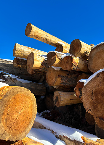 Pile of Sunlit Logs with Snow. Vibrant Blue Sky. Shot in New Mexico.