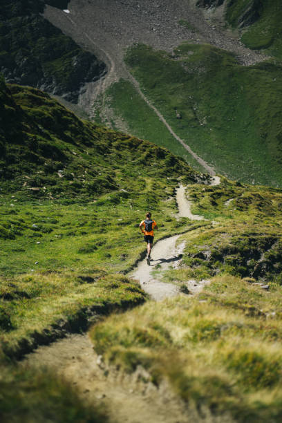istock Trail runner bounds along mountain trail 1923664974