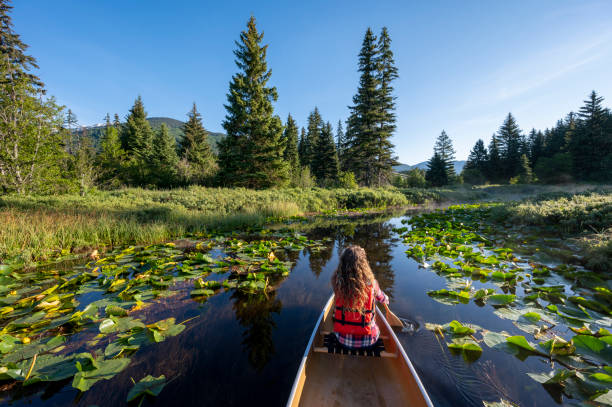 istock Girl paddles canoe down stream 1923687979