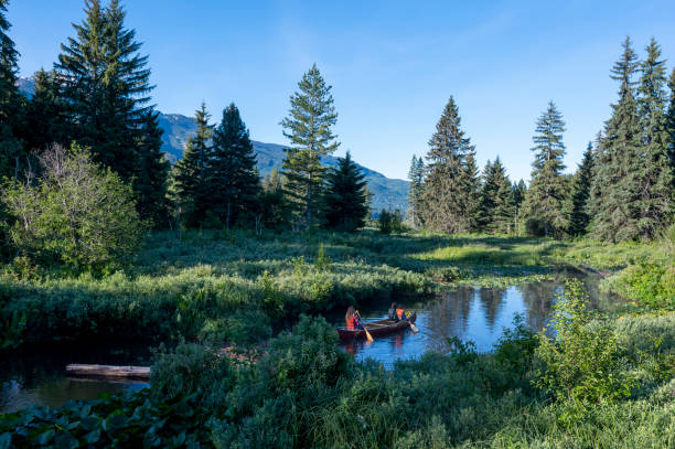 istock Family paddles canoe down stream 1923688518
