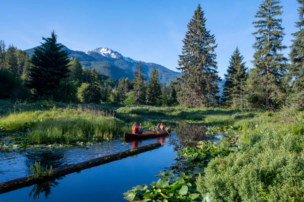 istock Family paddles canoe down stream 1923689568