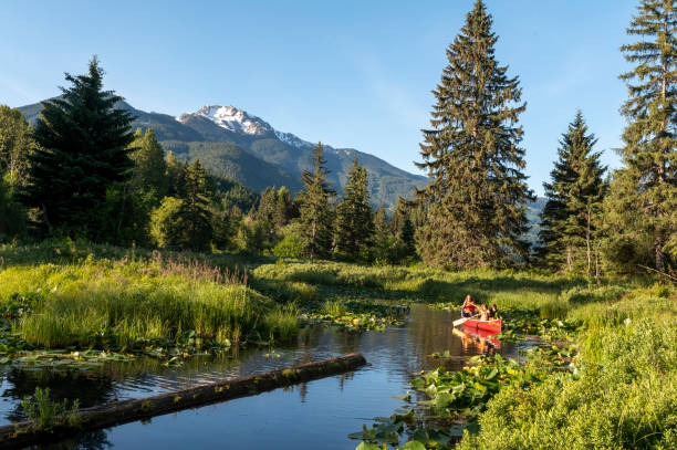 istock Family paddles canoe down stream 1923690115