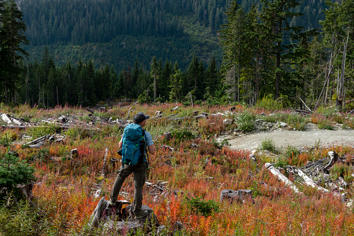 Backpacker explores mountain meadows in autumn, forest distant