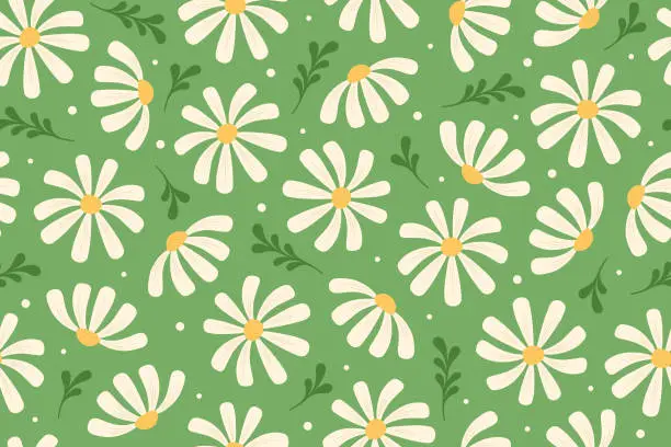 Vector illustration of Chamomile flowers seamless pattern. Floral background, wrapping paper, wallpaper.