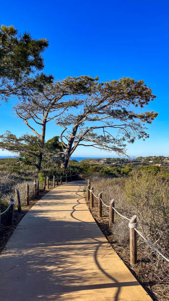 istock Walkway at the Old Point Loma lighthouse in California 1923754820