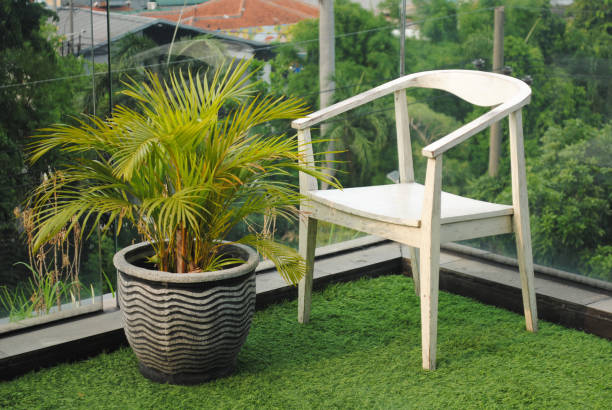 Isolated wooden chair in natural outdoor background.