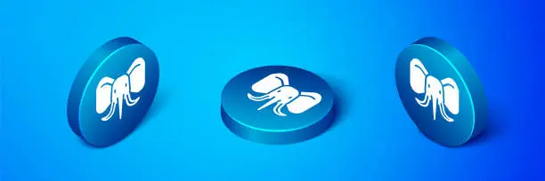 Vector illustration of Isometric Elephant icon isolated on blue background. Blue circle button. Vector