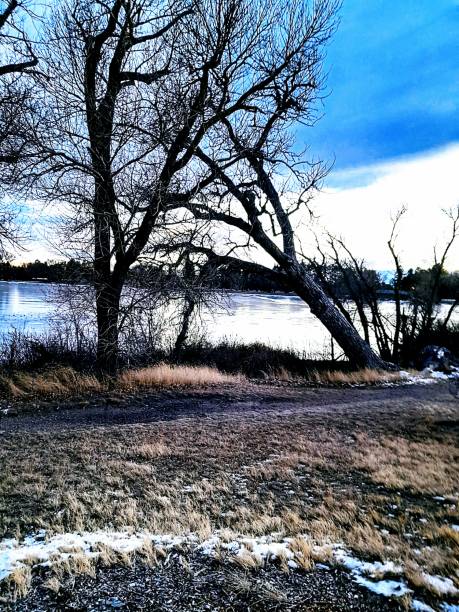 istock Twilight sky at the lake 1923863137