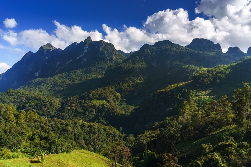 Natural scenery of tropical forest in the sunny day with mountain range at Doi Luang Chiang Dao, Chiang Mai, Thailand