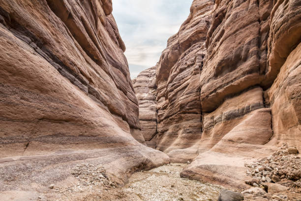 istock A small  shallow stream flows between high rocks with beautiful amazing patterns on their walls at the end of a walking trail in the Wadi Numeira gorge in Jordan 1923916778