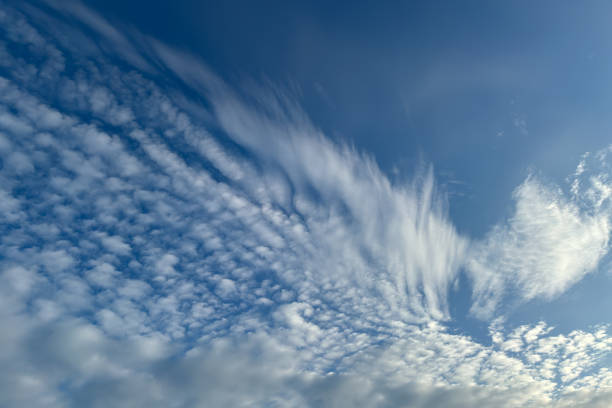 istock Beautiful cirrus clouds on a blue sky on a sunny day 1923956642