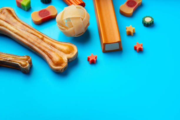 istock Pet snacks for dogs on blue background 1923999844